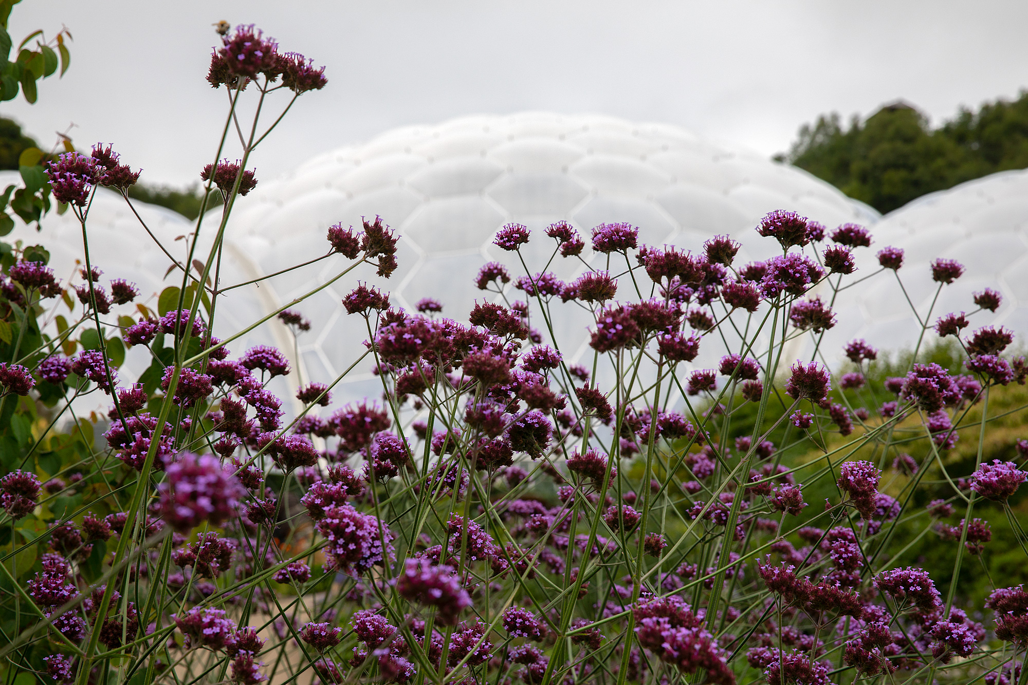 Photographing the Eden Project