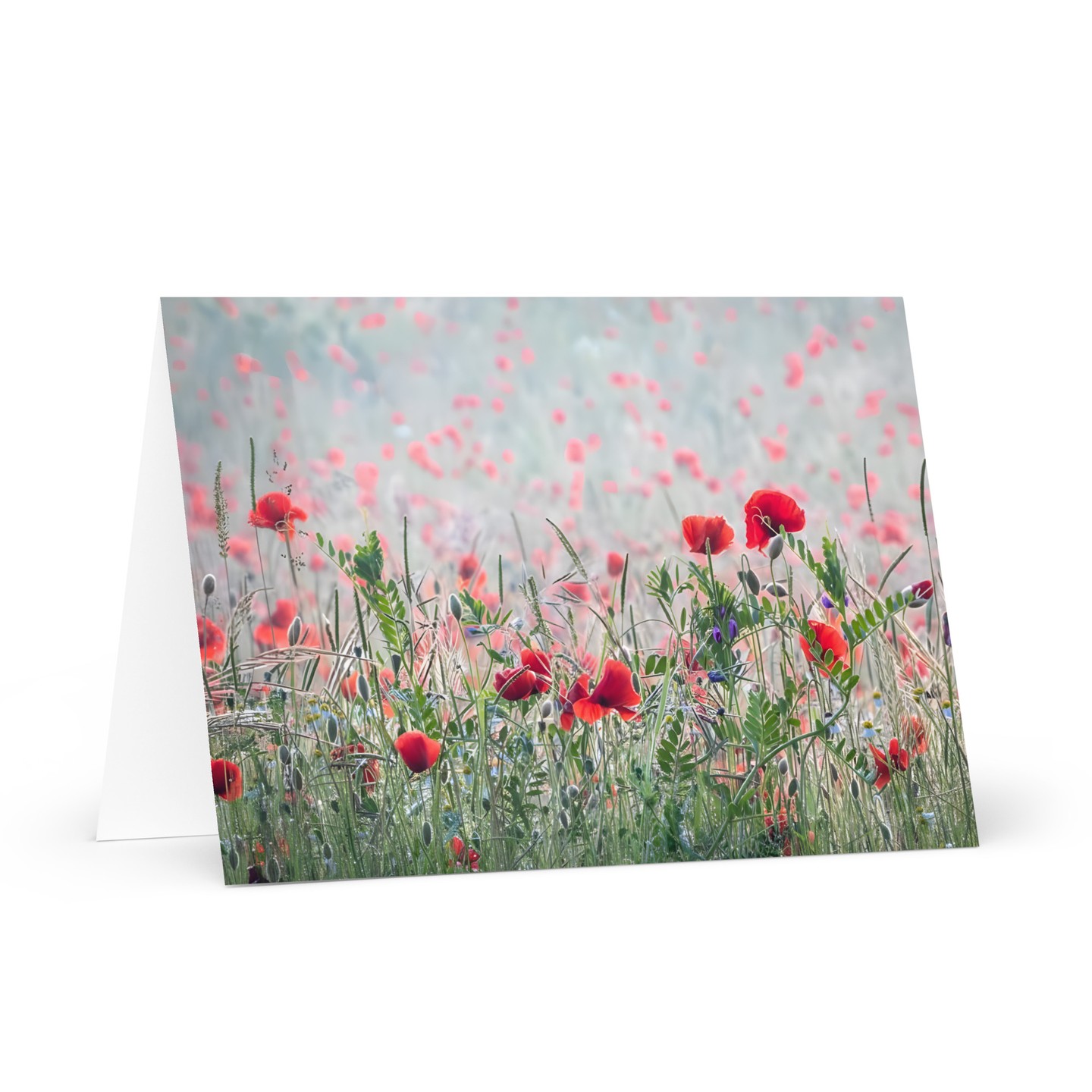 🚀 Big news! 🚀

Our highly anticipated new product has arrived: Wildflower Greeting card

Don't miss out – get yours today! https://damienwalmsley.com/product/wildflower-greeting-card/ or Link in bio.

---
#ShopNow #OnlineShopping #NewArrivals
#ShopSmall #LinkInBio #Ecommerce
#SmallBusiness #SupportSmallBusiness
#MustHave #DWstore