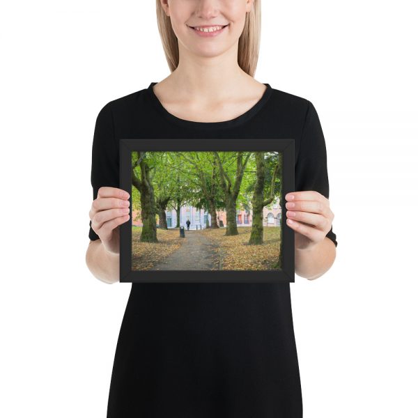 Taking a walk in Birmingham poster