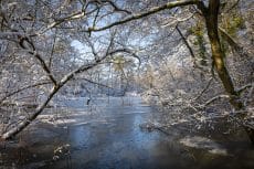 The pool in Brueton Park Woods