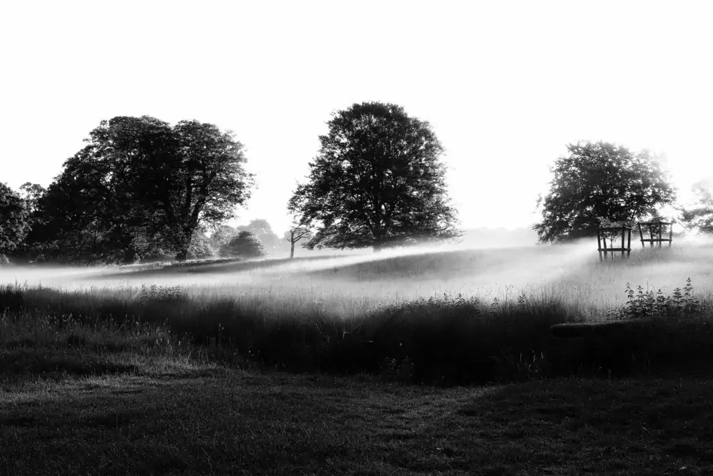 Charlecote Park