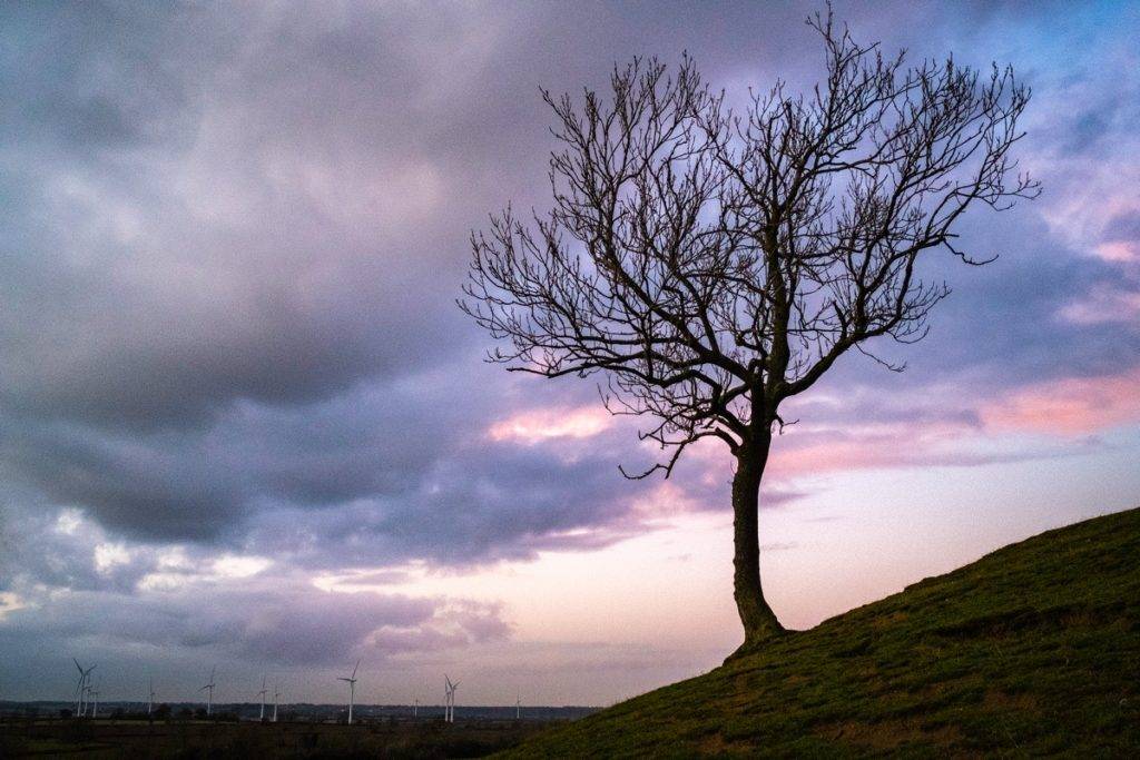 Sunset, Cricks Wood and Cracks Hill, Northamptonshire