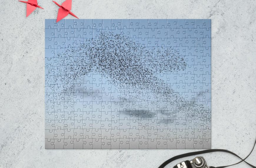 Jigsaw puzzle – starling murmuration