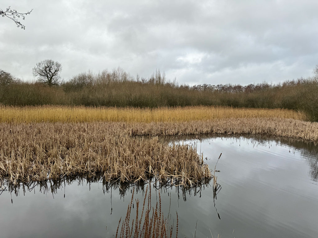 RSPB Middleton Lakes, Staffordshire, March 2024