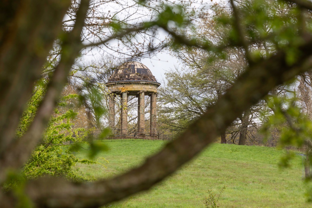 Woodland Photography, Hagley Park, Worcestershire, 2024