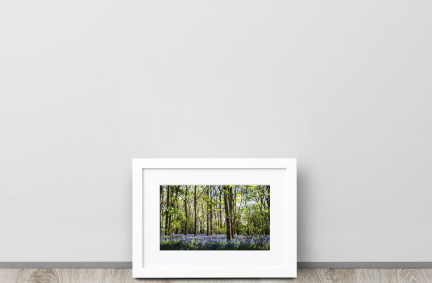 The bluebells of Hay Wood – Framed Poster