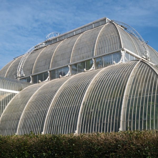 Kew Gardens, February, 2025