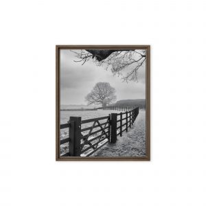 Leading lines to the tree canvas