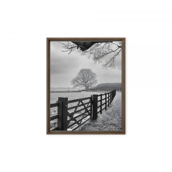 Leading lines to the tree canvas