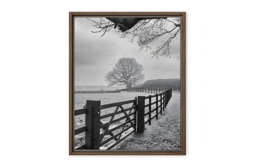 Leading lines to the tree canvas