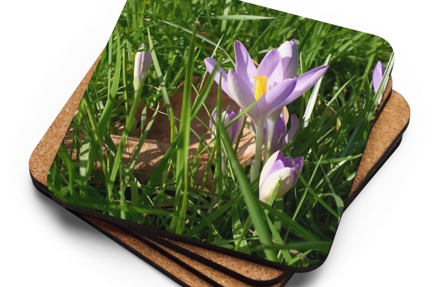 The flowers – Cork-back coaster