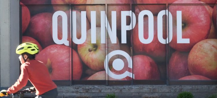 Quinpool Road Street murals, Halifax, Nova Scotia, Canada, 2025