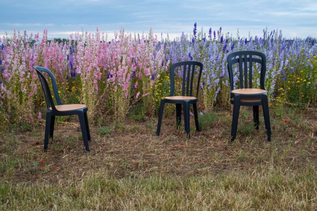The Confetti Fields, Wick, Pershore, June 20225