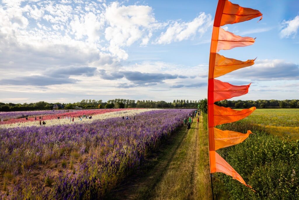 The Confetti Fields, Wick, Pershore, June 20225