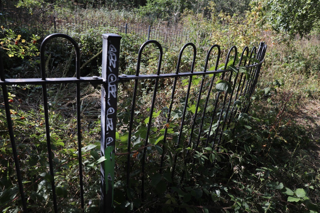Elmden Manor Walled Garden, Wildlife Trust, Solihull, 2025