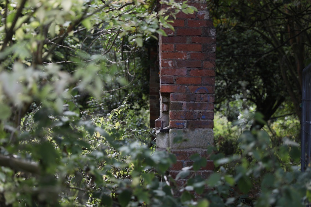 Elmden Manor Walled Garden, Wildlife Trust, Solihull, 2025