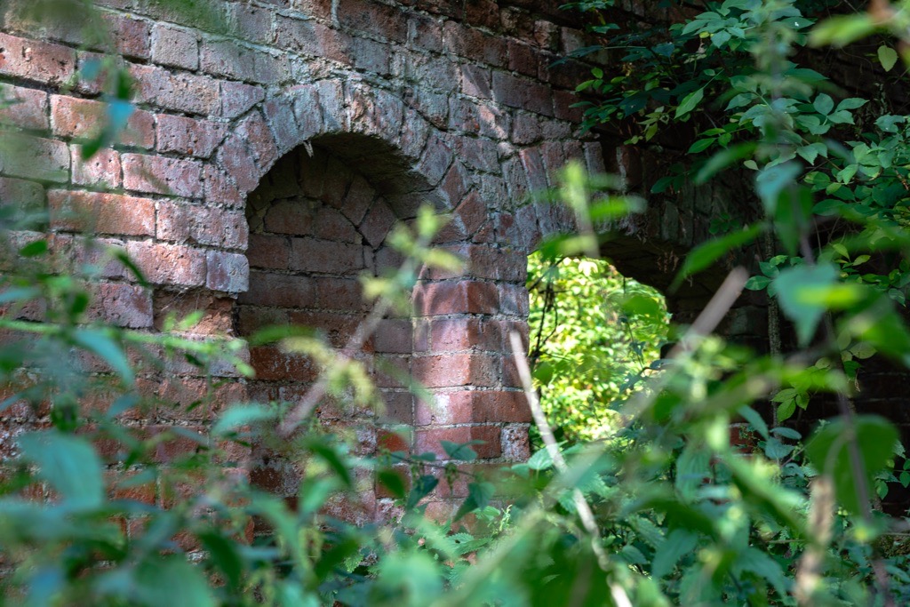Elmden Manor Walled Garden, Wildlife Trust, Solihull, 2025