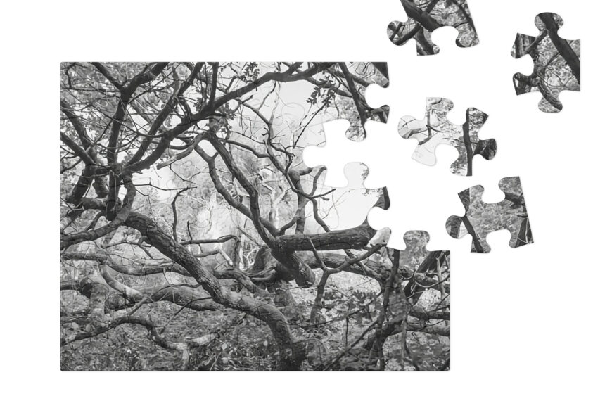 Twisted Trees Jigsaw puzzle with tin