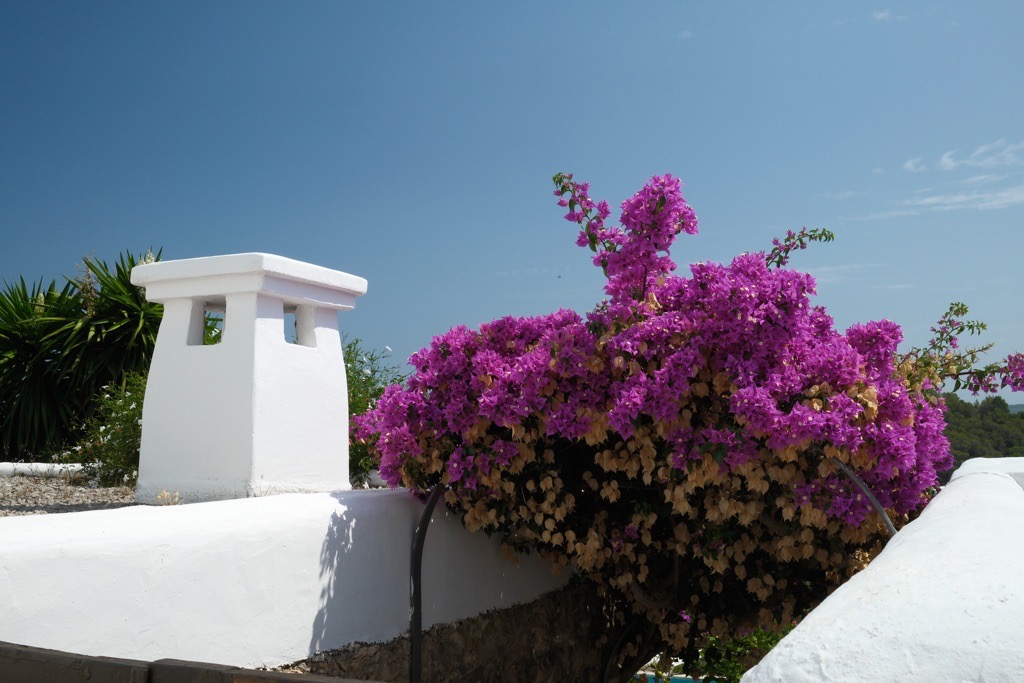 Sant Miquel de Balansat, Ibiza, August 2025.