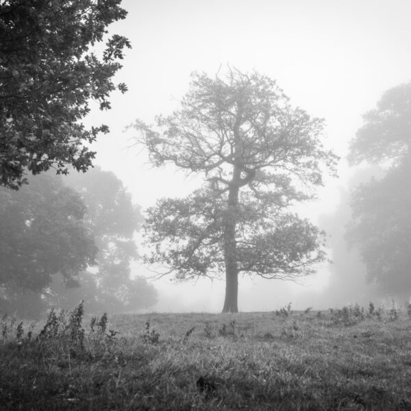 Crack's Hill, near Crick, October, 2025