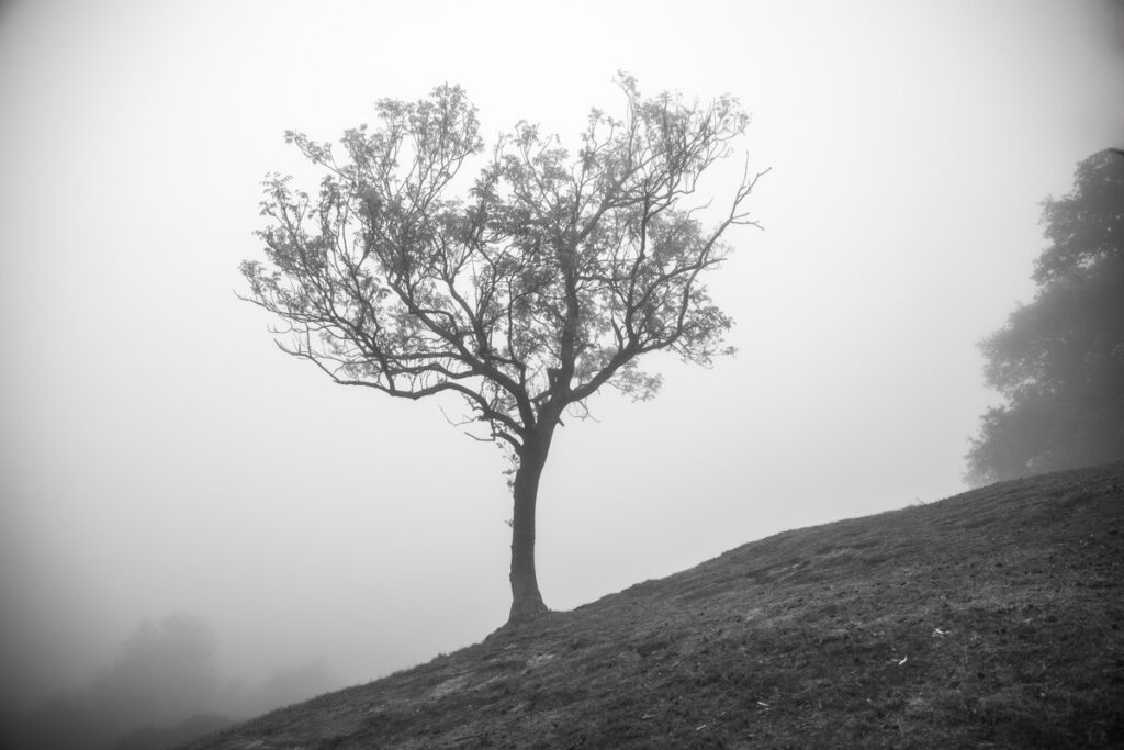 Crack's Hill, near Crick, October, 2025
