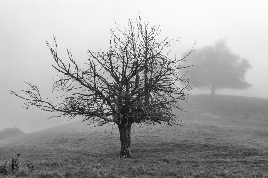 Crack's Hill, near Crick, October, 2025
