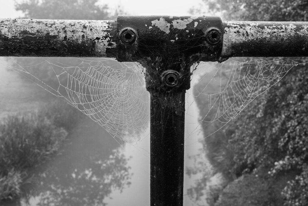 Crack's Hill, near Crick, October, 2025