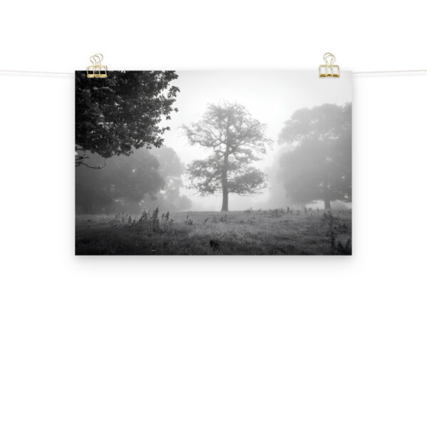 Foggy Morning at Cracks Hill poster - Image 2