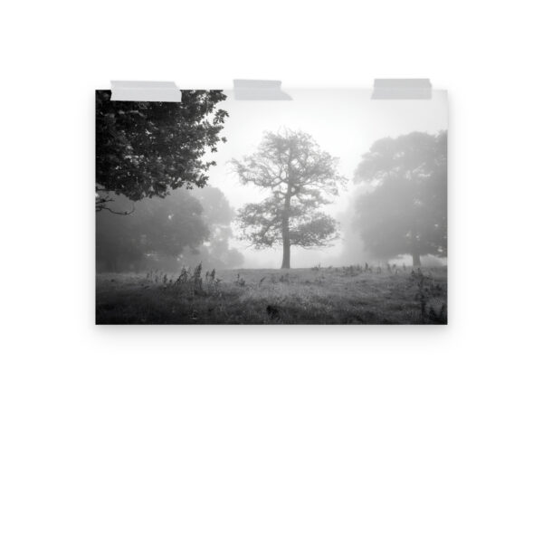 Foggy Morning at Cracks Hill poster - Image 3