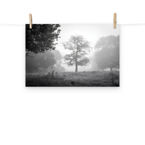 Foggy Morning at Cracks Hill poster