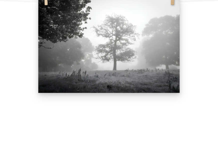 Foggy Morning at Cracks Hill poster