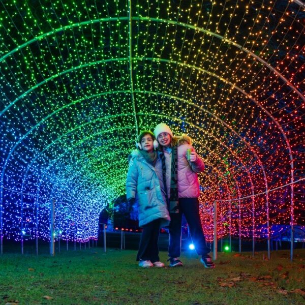 Warwick Castle Light Trail, Warwick, November 2025