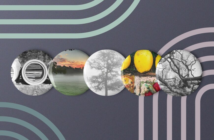 The Best of 2025 Pins