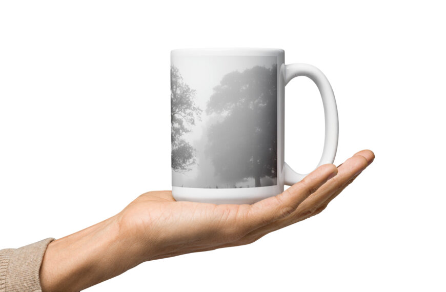 A Foggy Morning mug