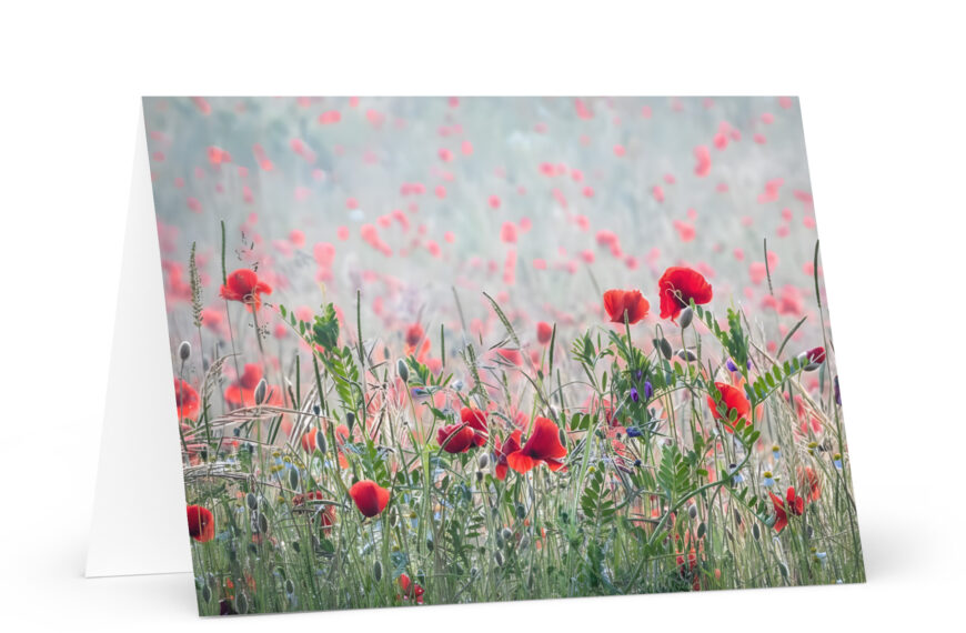 Wildflower Greeting card
