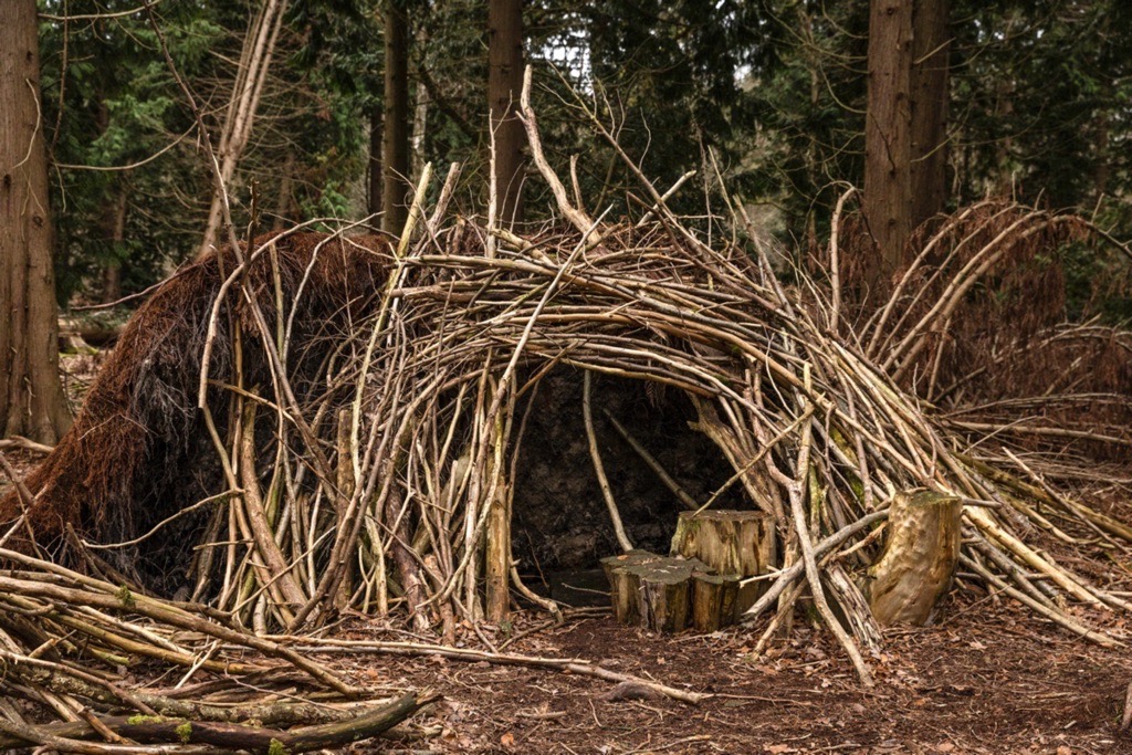 Woodland photography inspiration in Hay Wood near Solihull