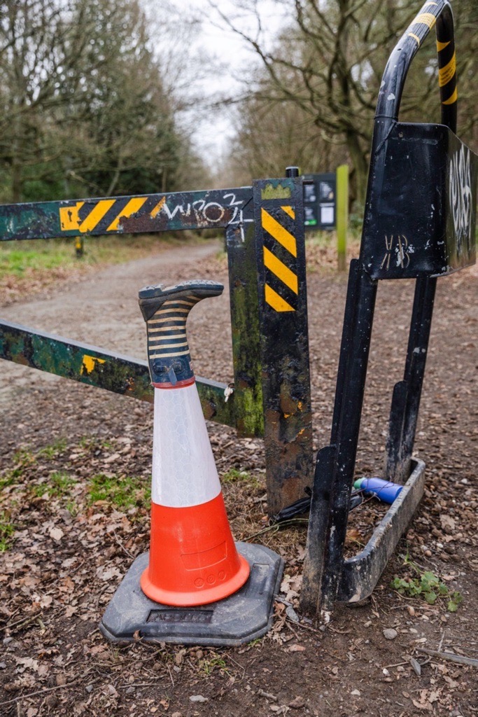 Woodland photography inspiration in Hay Wood near Solihull