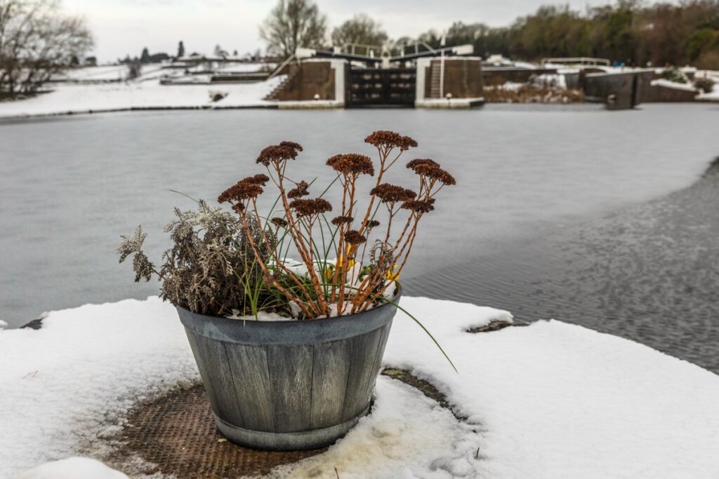 Snowfall at first light, Knowle, Solihull