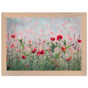 1c92f26c-c880-4ded-a000-02610be3321a