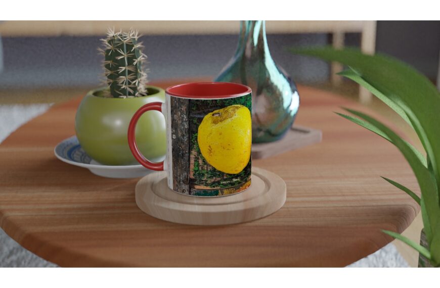 391f8279-15e2-4376-84ca-14783597805c