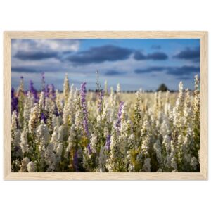 6a1fbfd7-6481-4cca-9650-5ef621d2b8e4