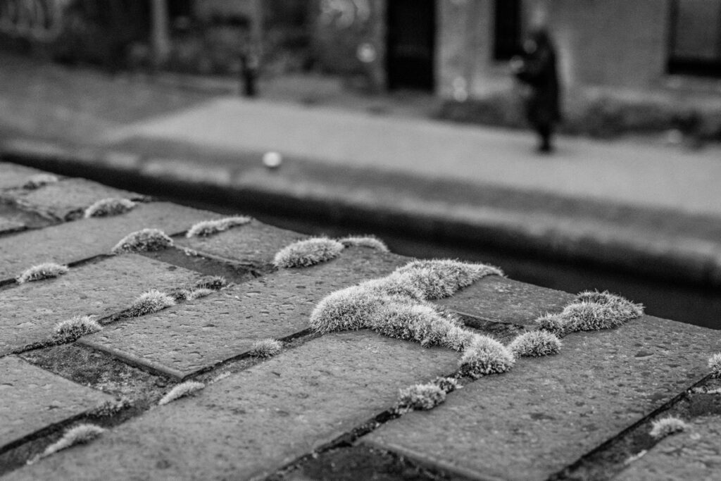Atmospheric black and white canal photography in Birmingham