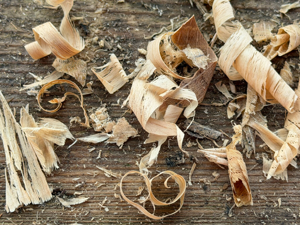 Wood shavings left over from the Golden Lion timber repairs