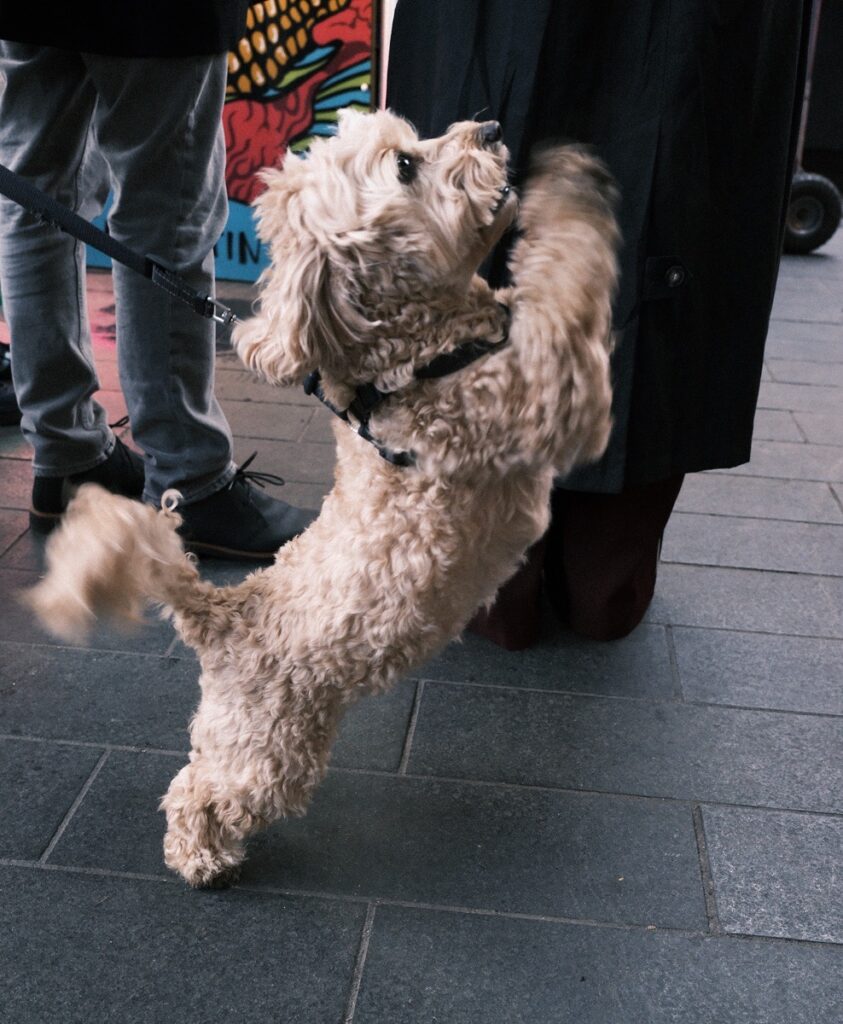 Happiness on the street. Street photographer capturing candid moments inside Greenwich Market.