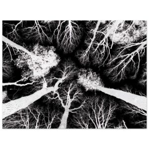 bea d bf a ddbcbde jpg