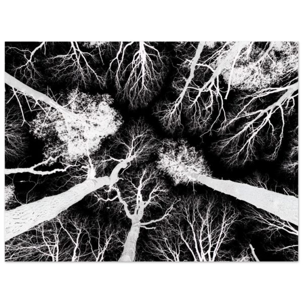 bea d bf a ddbcbde jpg