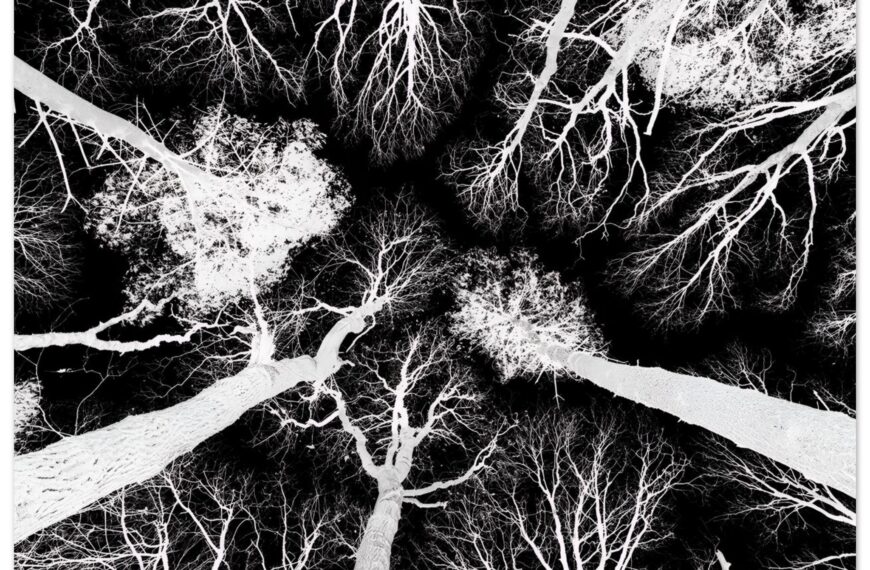 bea d bf a ddbcbde jpg