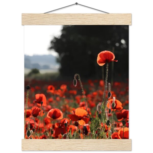 ec fc bc ab bffb jpg