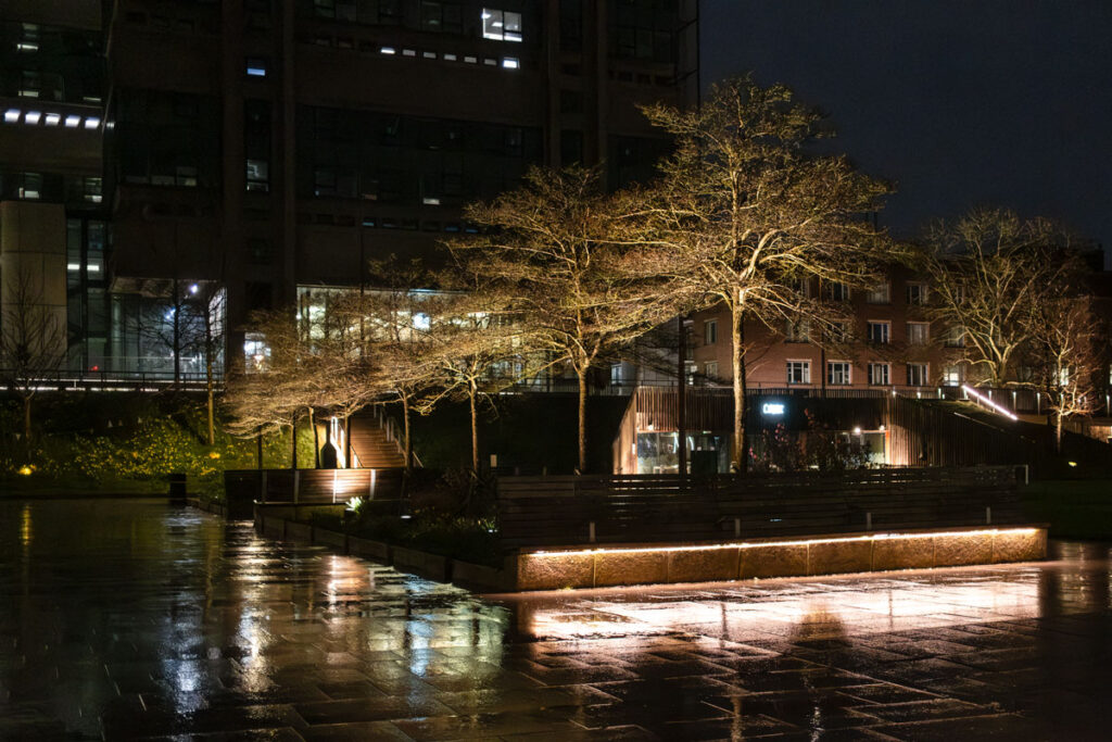 Reflections in the Dark, University at night