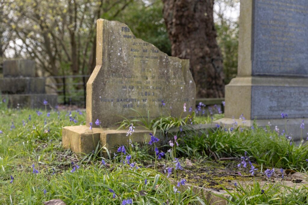 Bluebells at Key Hill Cemetery